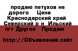 продаю петухов не дорого  › Цена ­ 600 - Краснодарский край, Северский р-н, Ильский пгт Другое » Продам   